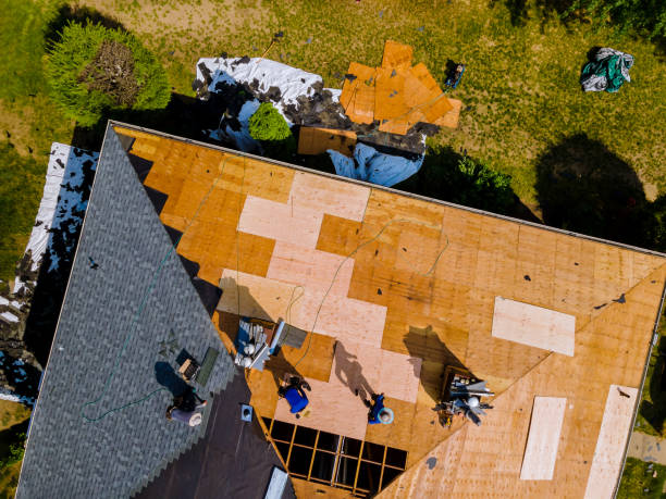 Best Metal Roofing Contractor  in Glencoe, FL