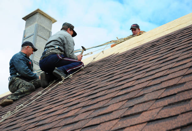 Best Roof Gutter Cleaning  in Glencoe, FL